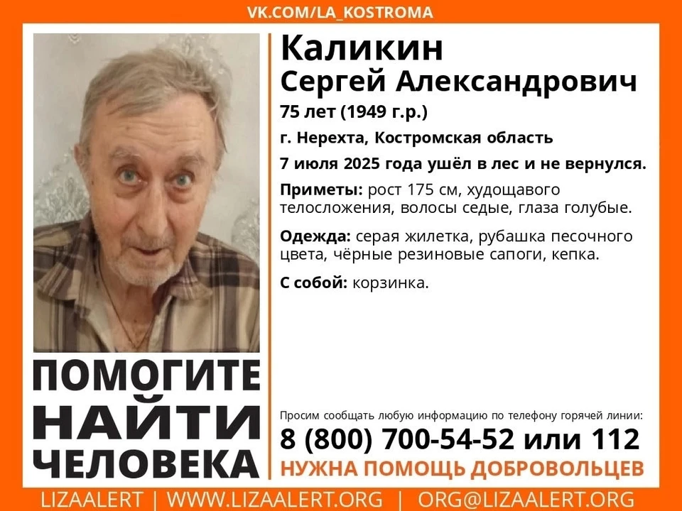Фото: ДПСО "Лиза Алерт" Костромской области