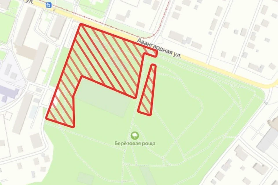 В Березовой роще начались работы по благоустройству еще одного участка. Фото: администрация Ижевска