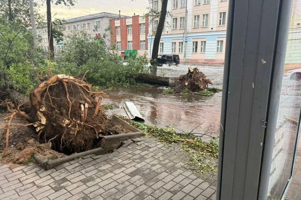 В Могилеве 10 июля, в прямом смысле слова, разгребают последствия ночного урагана. Фото: Минэнерго.