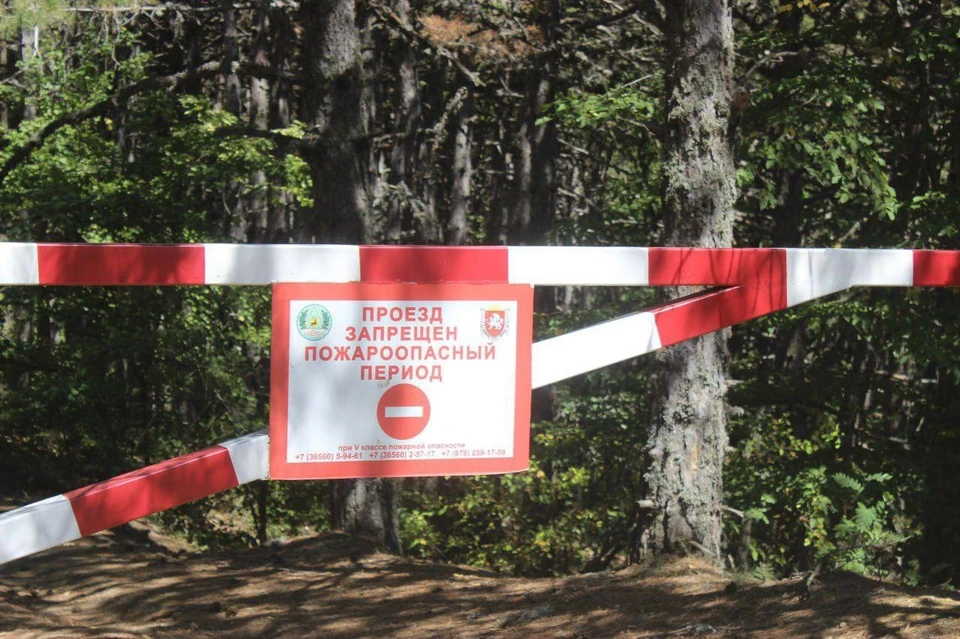 Запрет обусловлен высокой степенью пожароопасности. Фото: 82.mchs.gov.ru