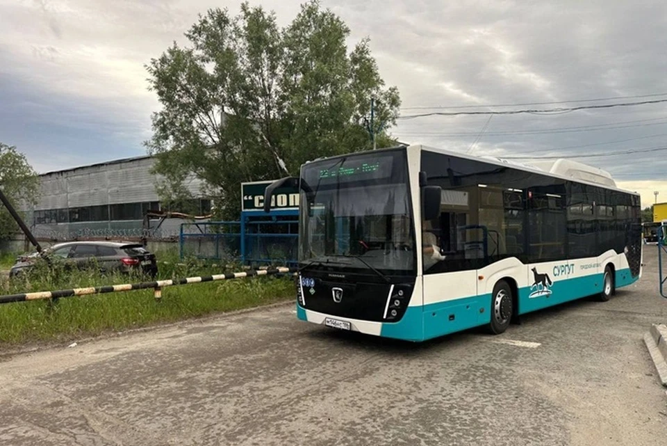 Фото: администрация Сургута