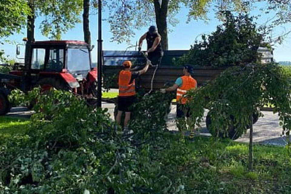 Устранять последствия урагана помогает молодежь.