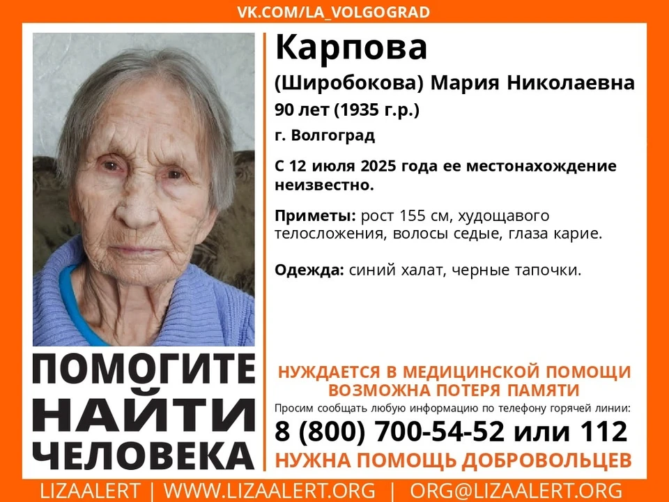 Фото: Лиза Алерт.