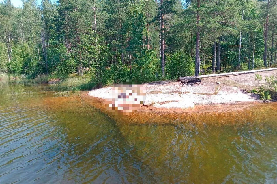 На водоеме в Приозерском районе произошла трагедия. Фото: Аварийно-спасательная служба Ленобласти