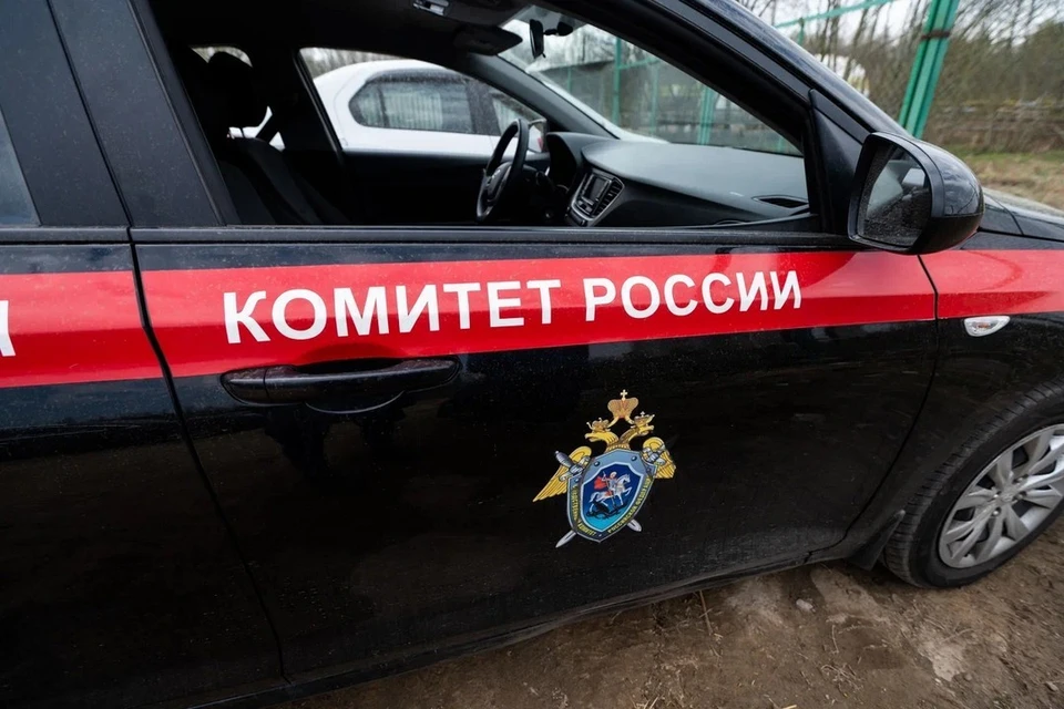 Бастрыкин взял на контроль уголовное дело о нападении подростков на сверстников в Мошково.
