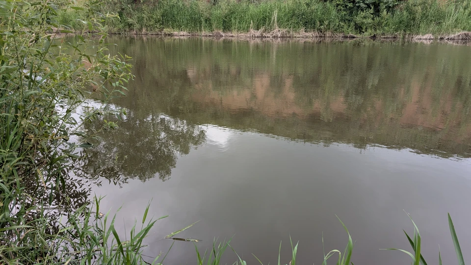 За сутки тела четверых оренбуржцев достали из воды. Фото: Ольга Ахмадуллина.