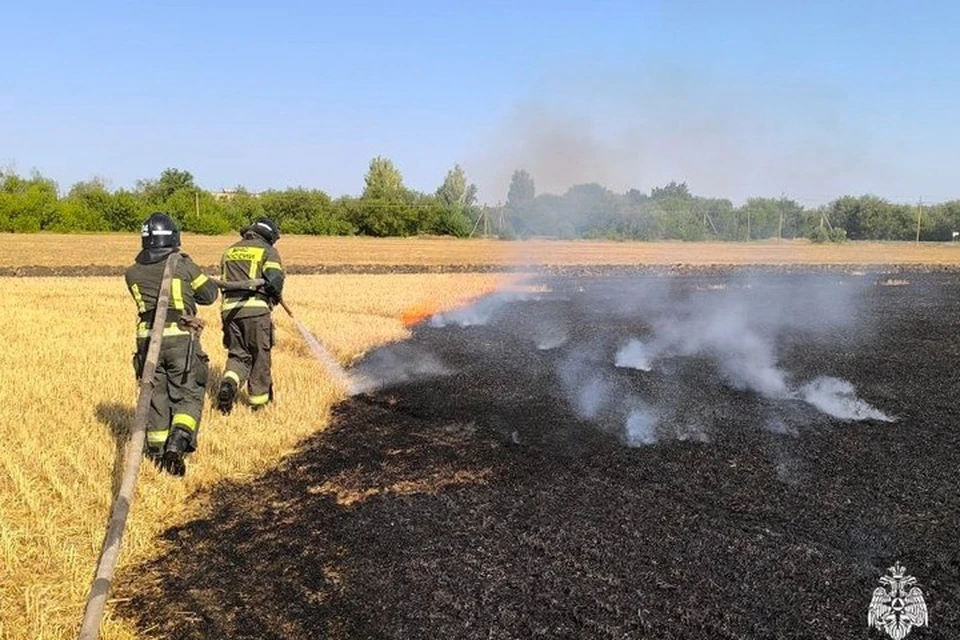 16-17 июля существенно вырос риск пожаров в регионе. Фото: ГУ МЧС России по Запорожской области