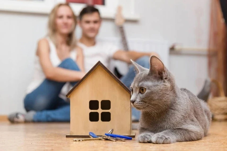Ипотека может подешеветь до 10-12% к 2027 году: прогноз эксперта