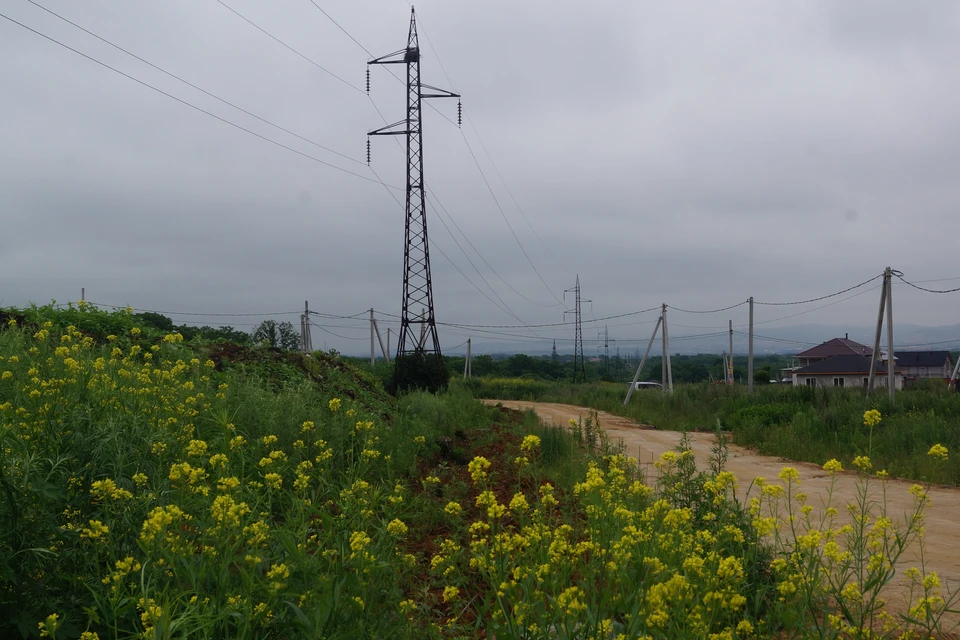 Фото: АО «ДРСК».