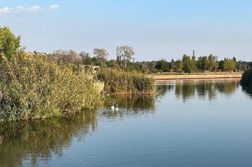 В ДНР разрабатывают меры по переброске воды в обмелевшие водоемы. Фото (архив): Администрация города Мариуполя
