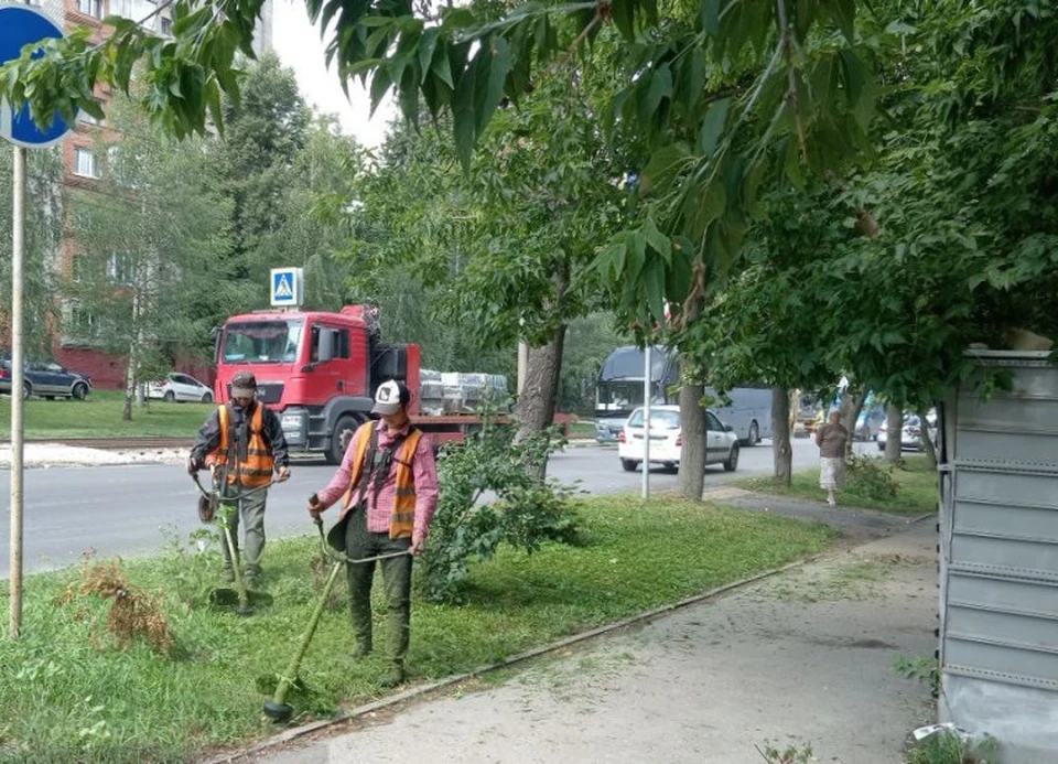 В Туле продолжаются работы по благоустройству и уборке городских территорий.