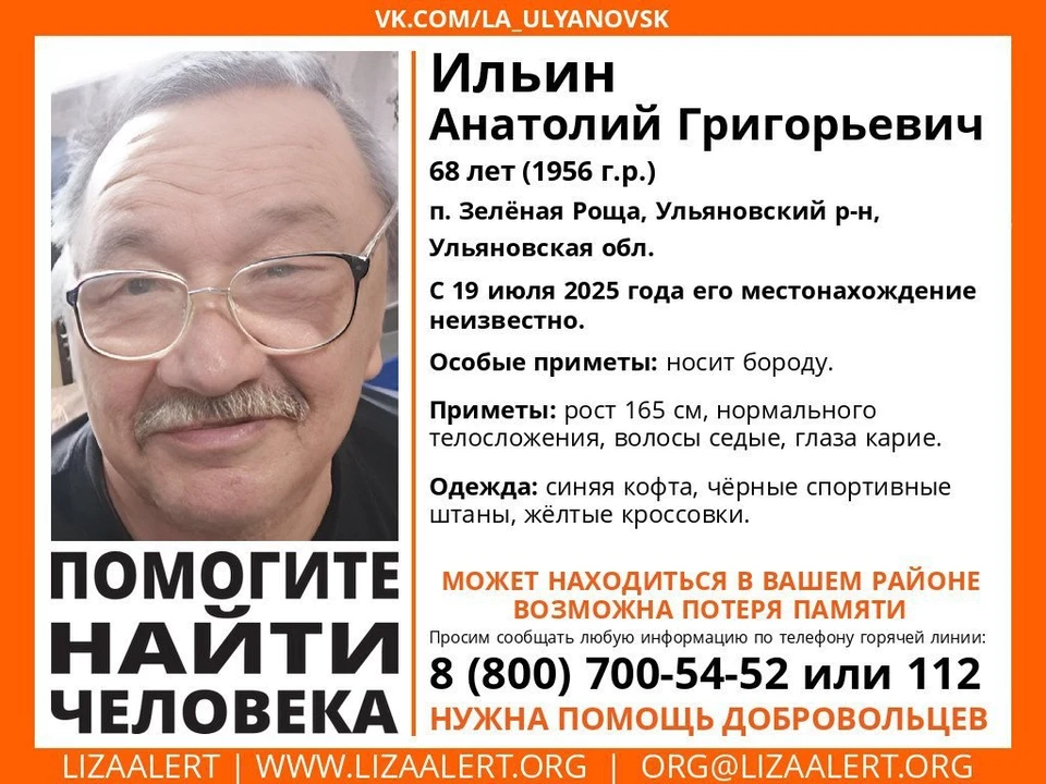 В Ульяновской области несколько дней назад пропал житель посёлка Зелёная Роща. Фото ЛизаАлерт