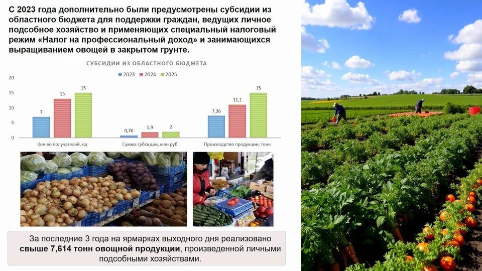 Белгородский губернатор: «Число соцконтрактов на развитие ЛПХ к концу года составит больше 4,1 тысячи»