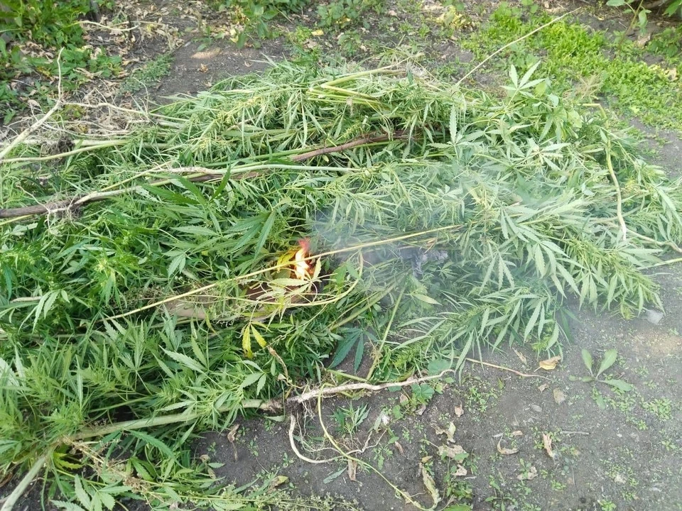 Фото: ГУ МВД по Челябинской области