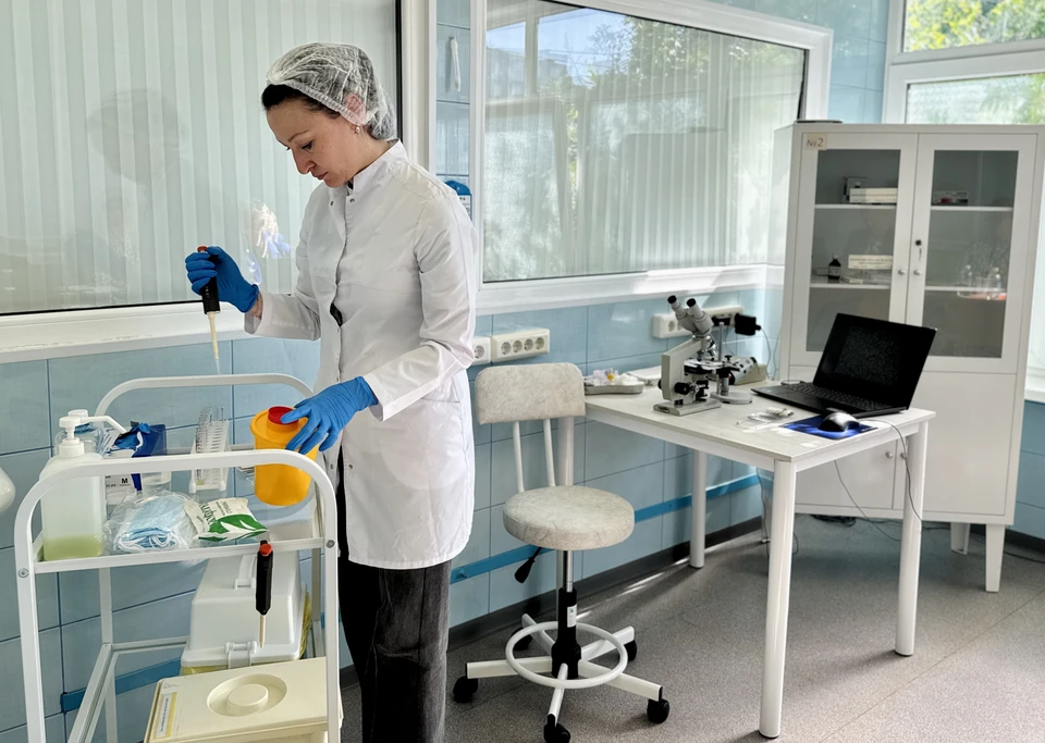 Все успешно прошедшие аккредитацию специалисты готовы приступить к работе - медицинские учреждения Мурманской области ждут новых сотрудников. Фото: Правительство Мурманской области