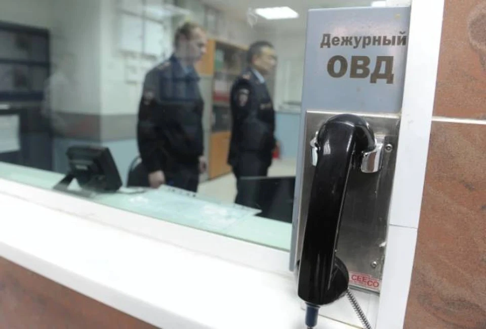 Жительница Чаплинки и ее сожитель подозреваются в краже