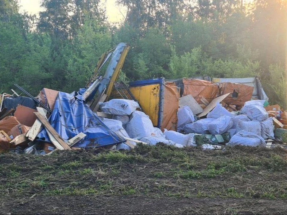 Фура на скорости вылетела в кювет. Фото: ГКУ СО Центр по делам ГО, ПБ и ЧС