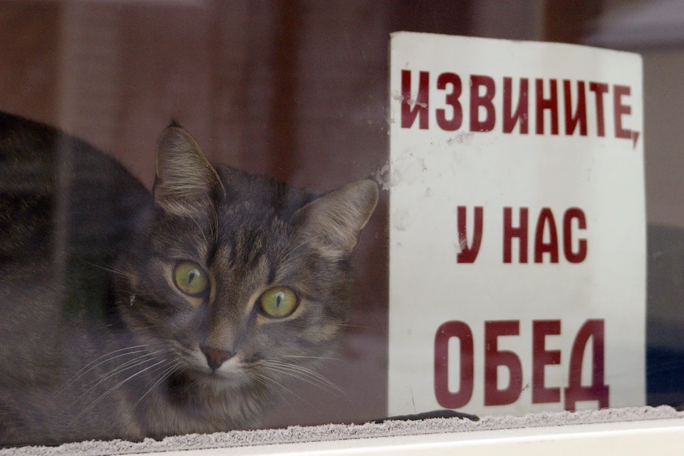 Все вывески приведут к единому стандарту.