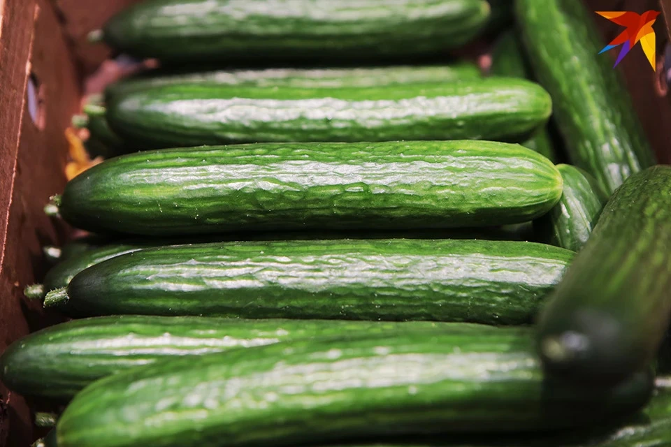 Доцент Стрелин перечислил продукты, необходимые организму в жару