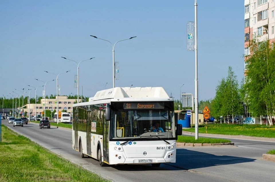 Фото: Домтрансавто