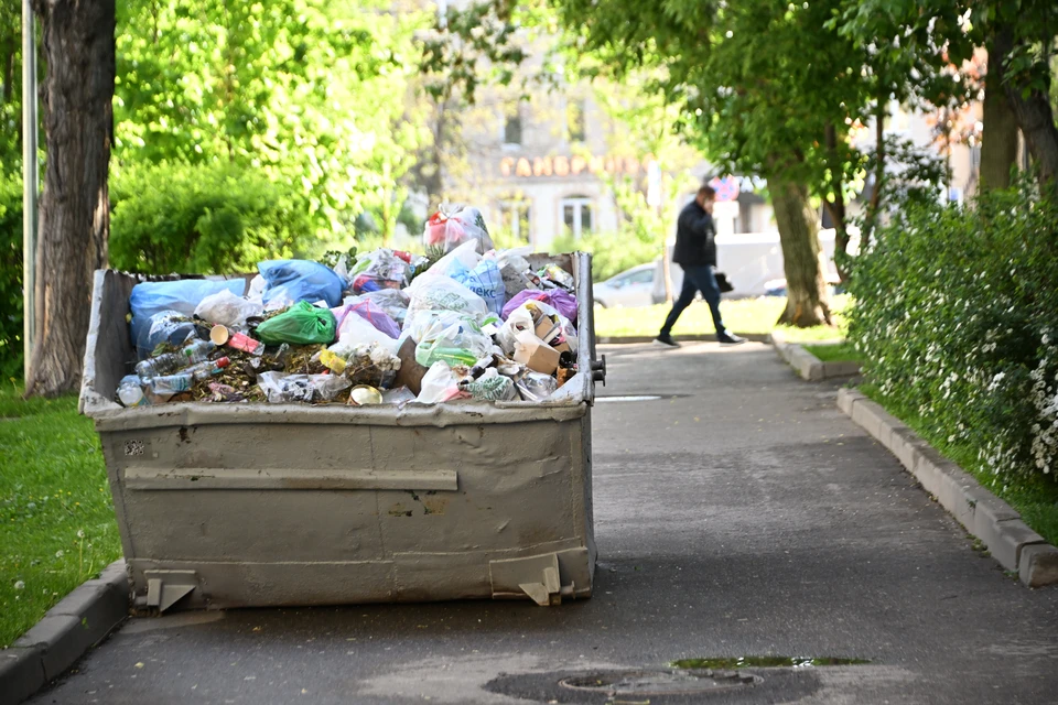 В течение месяца дончане могут получить деньги за фиксацию эконарушений.