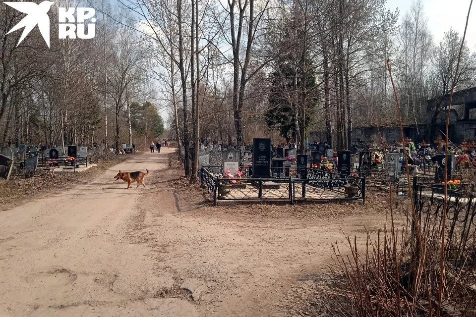 На старые кладбища изменения не распространяются.