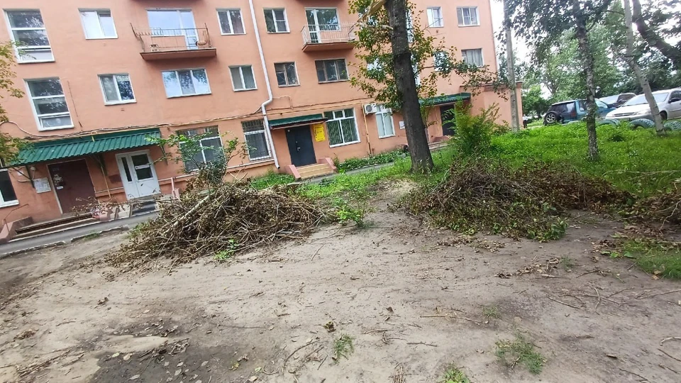 Фото: телеграм-канал «ЧП Омск»