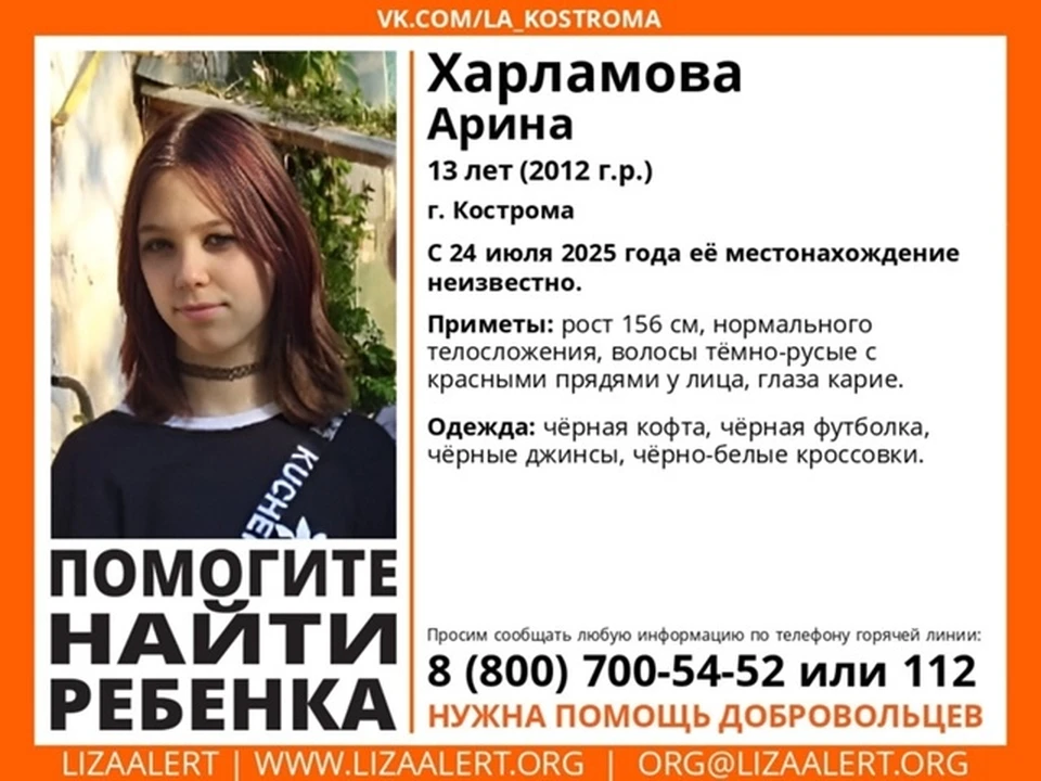 Фото: Поисково-спасательный отряд "ЛизаАлерт" Костромской области