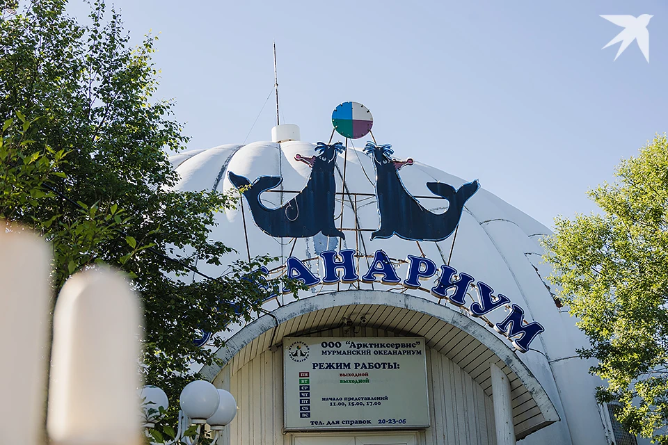 Организация оштрафована по статье 5.27 КоАП РФ, которая предусматривает ответственность за задержку зарплаты.