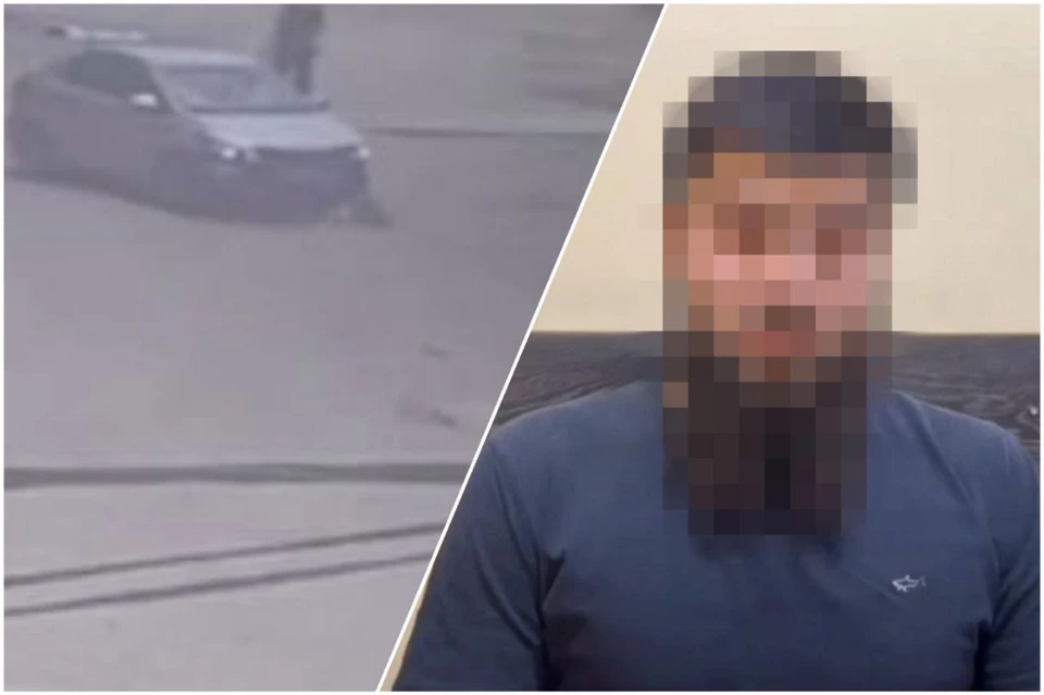 Мужчина заявил, что не заметил щенков. Фото: стоп-кадр видео ГУ МВД России по Дагестану