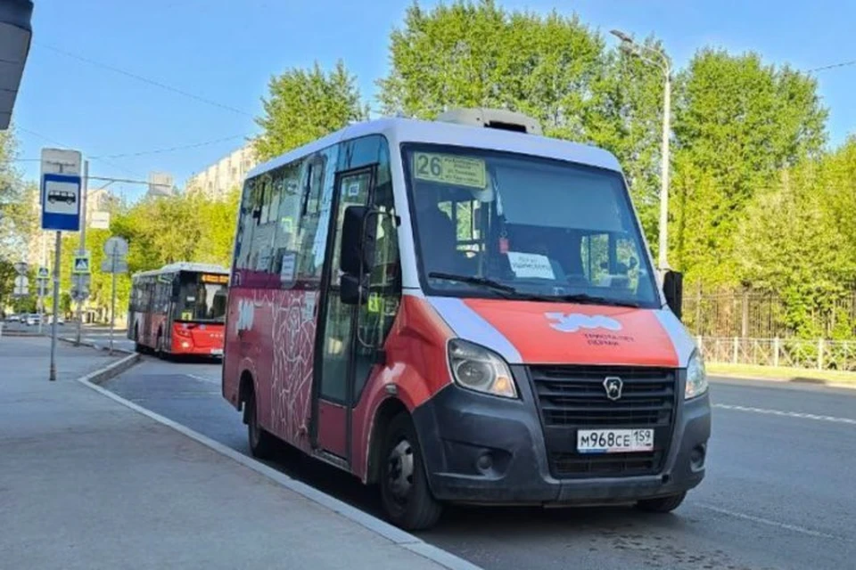 На маршрут выйдут автобусы малого класса. Фото: департамент транспорта.