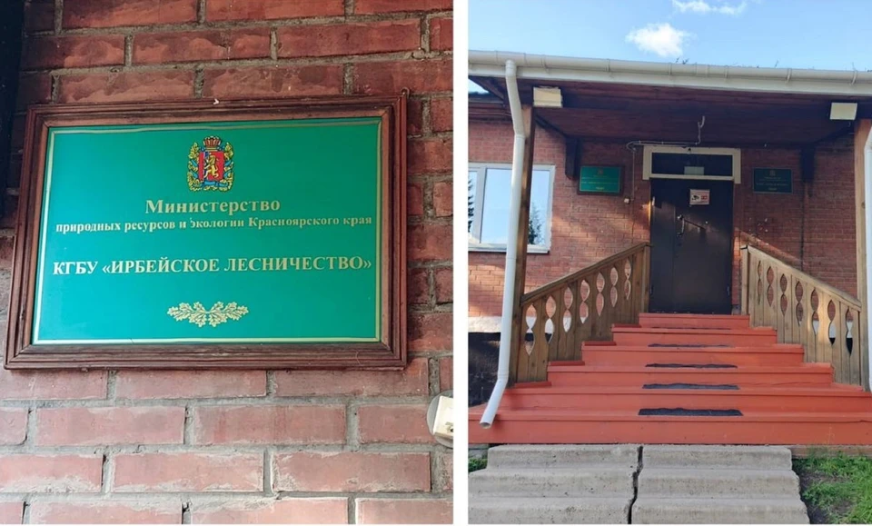 Лесничего из Красноярского края осудили за превышение полномочий. Фото: краевая прокуратура