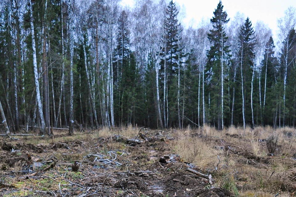 Сумма ущерба составила 951 тысячу рублей.