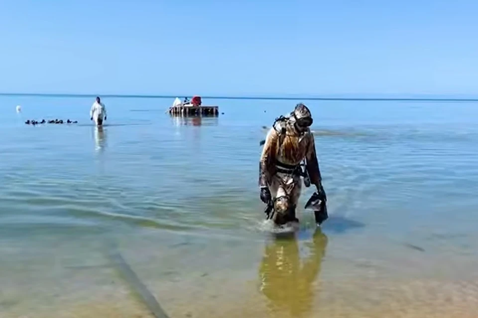 Мазут продолжают собирать на дне моря. Фото: оперштаб региона