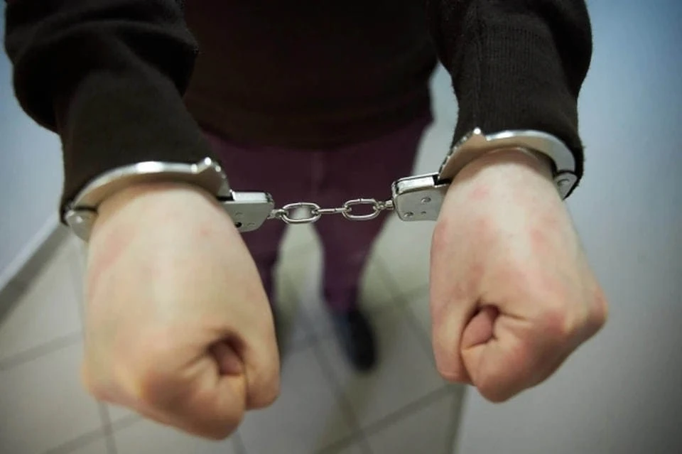 В Петербурге задержан депутат Заксобрания Ленобласти Иван Апостолевский