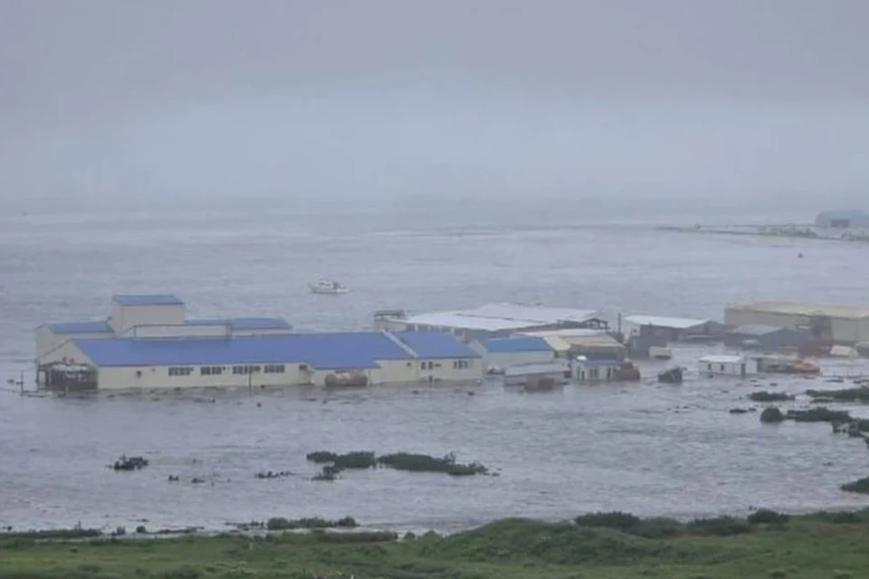 NOAA: Волны цунами после землетрясения на Камчатке дошли до побережья Калифорнии. Фото: Трепанг ДВ.