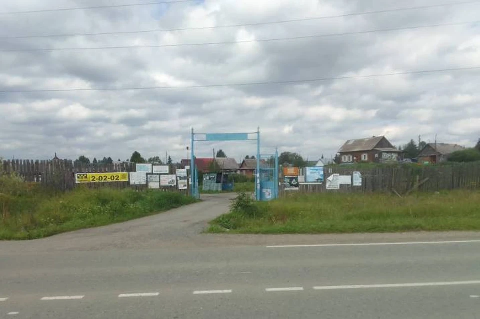 Фото: Предоставлено Александром Пестриковым
