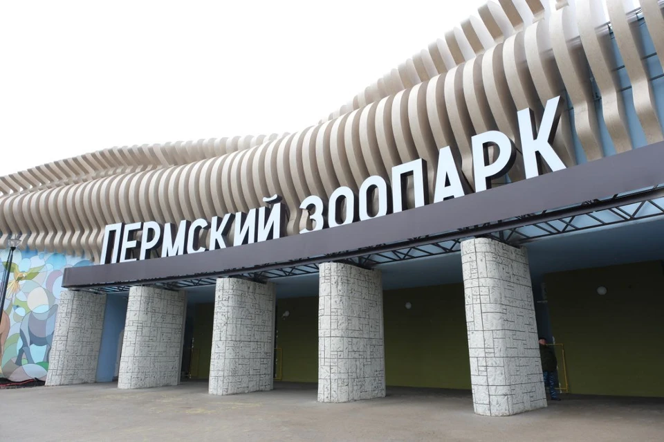 Фото: пресс-служба министерства строительства Пермского края