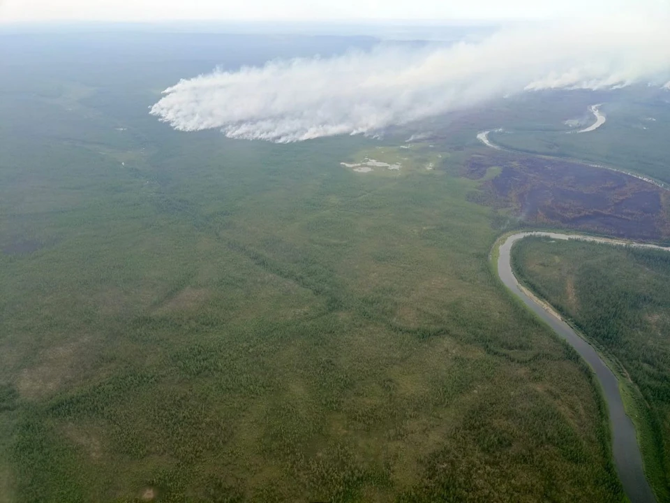 Фото: лесопожарный центр Красноярского края