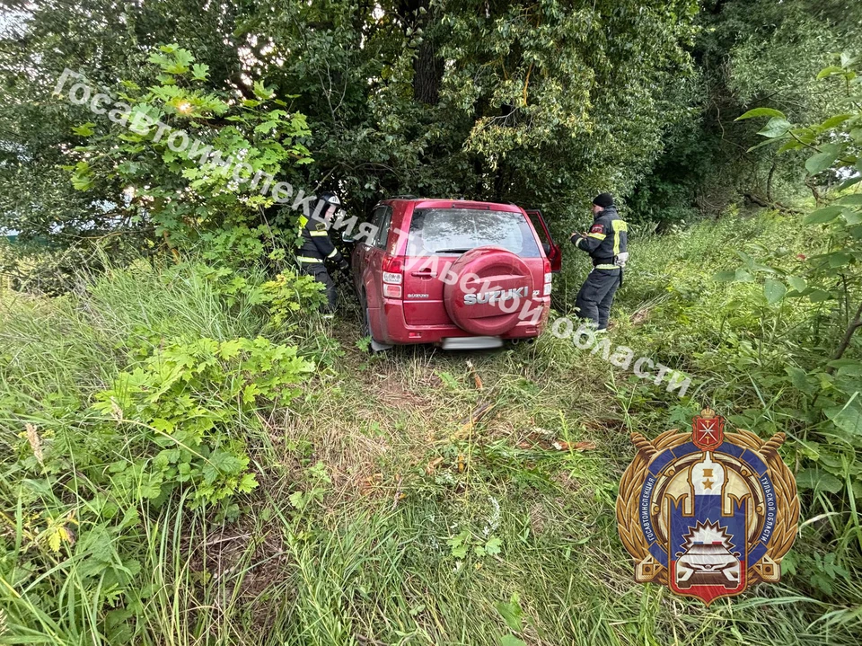 В ДТП в Алексине пострадали водитель и две пассажирки автомобиля Suzuki.