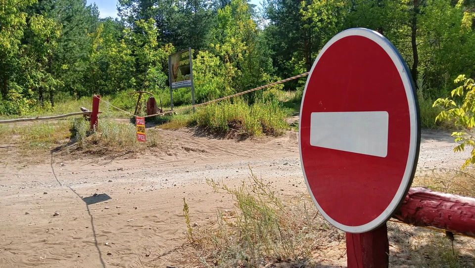 Запрет на пребывание и въезд в леса ввели до 18 августа включительно