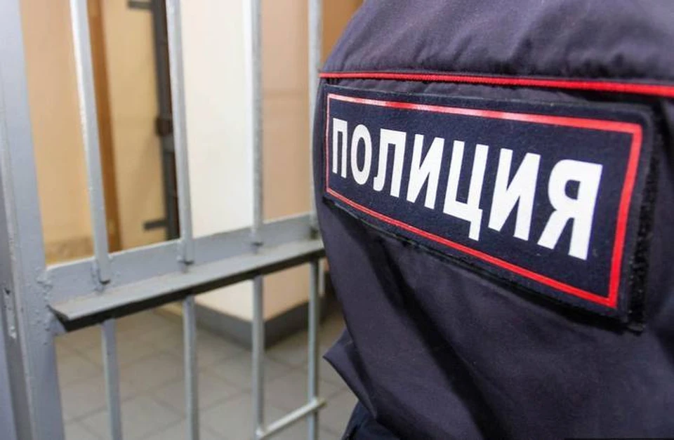 В Намском районе задержан мошенник, продавший чужую квартиру Фото: МВД Якутии
