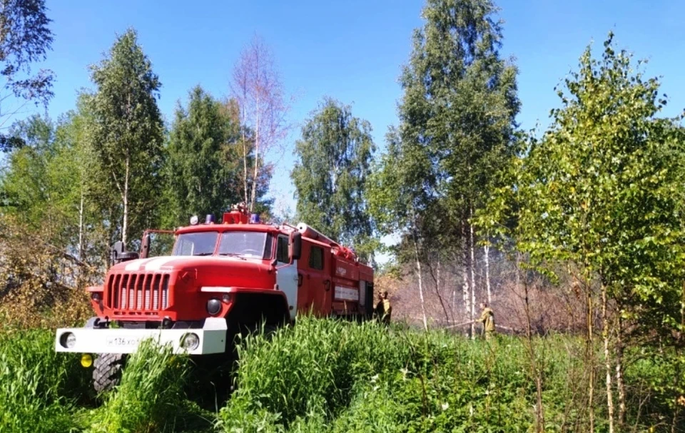 Источник: adm44.ru