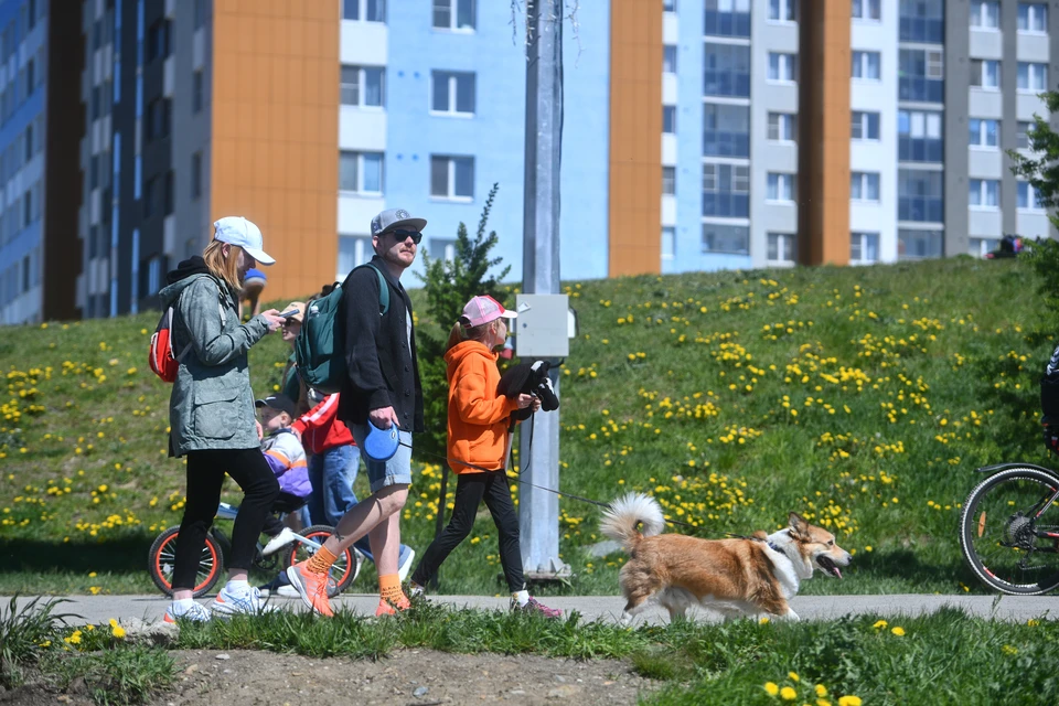 Нацпроект «Семья» продолжает развиваться. Фото: архив КП