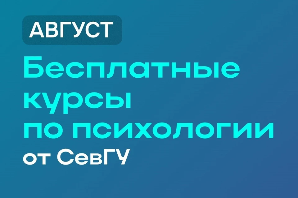 Изображение: телеграм-канал Михаила Развожаева