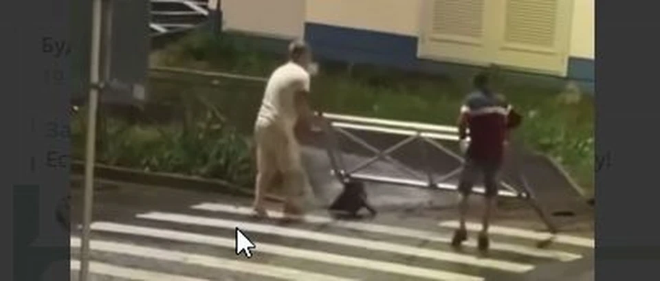 Видео: Телеграм-канал "Будь в курсе Кострома"