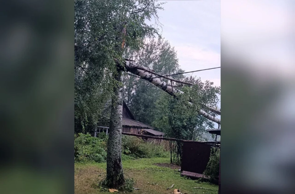 Перебои с подачей электричества происходят из-за поваленных во время грозы деревьев. Фото: администрация Ярского района