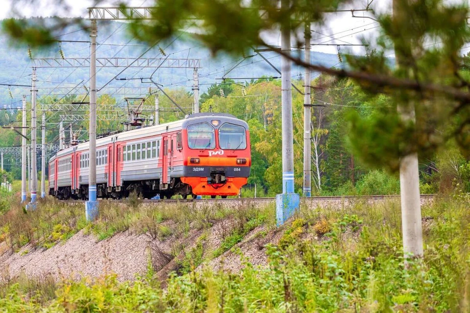 Фото: телеграм-канал kraszd