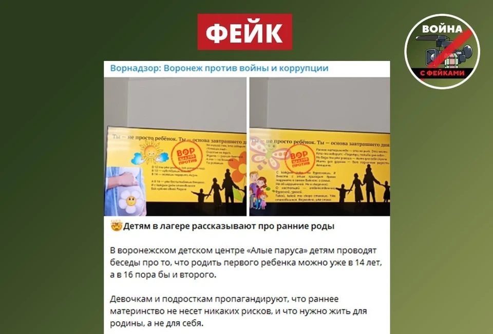 Фото из телеграм-канала «Война с фейками. Воронежская область».
