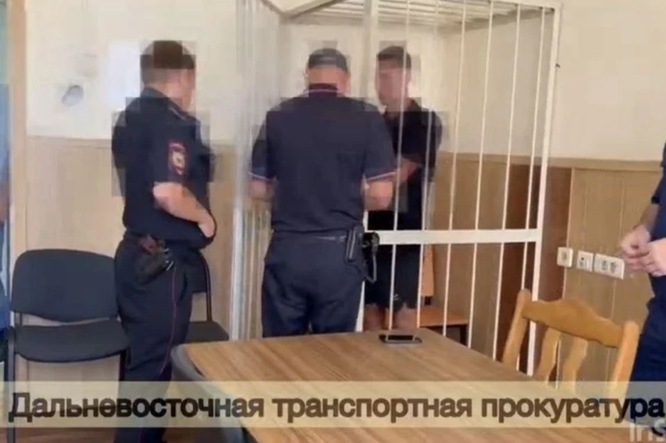 Мужчина наехал на девочек, находясь в состоянии алкогольного опьянения. Фото: принтскрин видео Дальневосточной транспортной прокуратуры